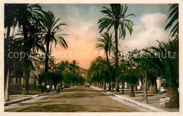 Hyeres les Palmiers Avenue Gambetta