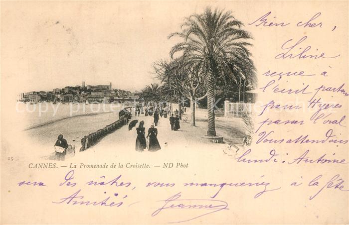 Cannes Alpes-Maritimes Promenade de la Croisette des palmiers Côte d Azur