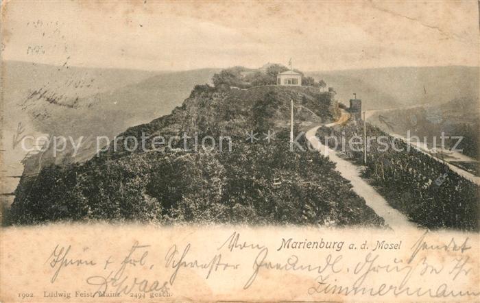 Marienburg Mosel Panorama