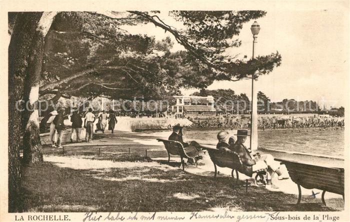 La Rochelle Charente-Maritime Sous-bois de la plage