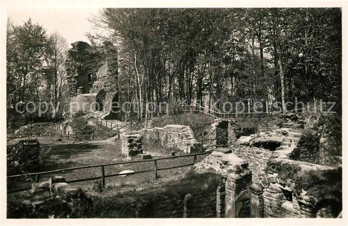 Heidelberg Neckar Ruine der Michaelsbasilika auf dem Heiligenberg