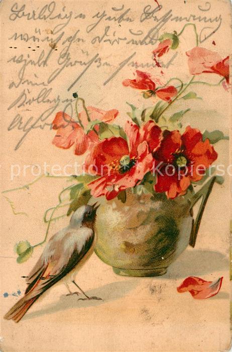 Voegel Birds Oiseaux Uccelli Pajaros-- Mohnblumen Litho