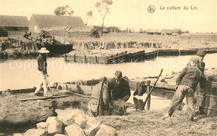 Ernte Landwirtschaft Culture du Lin Enleve des Ballons le Li