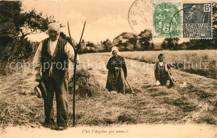 Landwirtschaft Normandie
