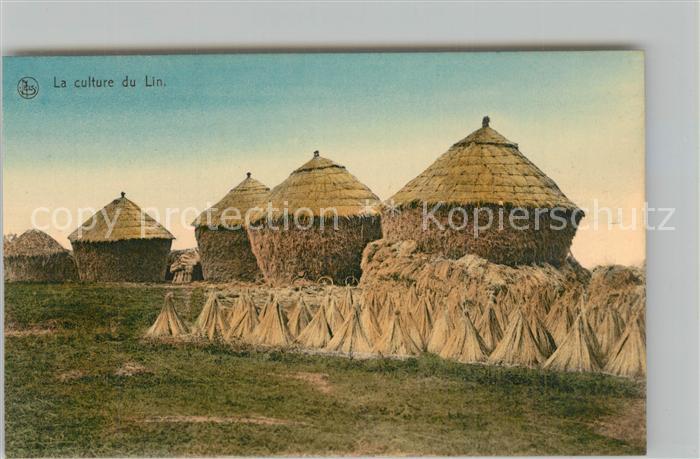Ernte Landwirtschaft Culture du Lin Meules