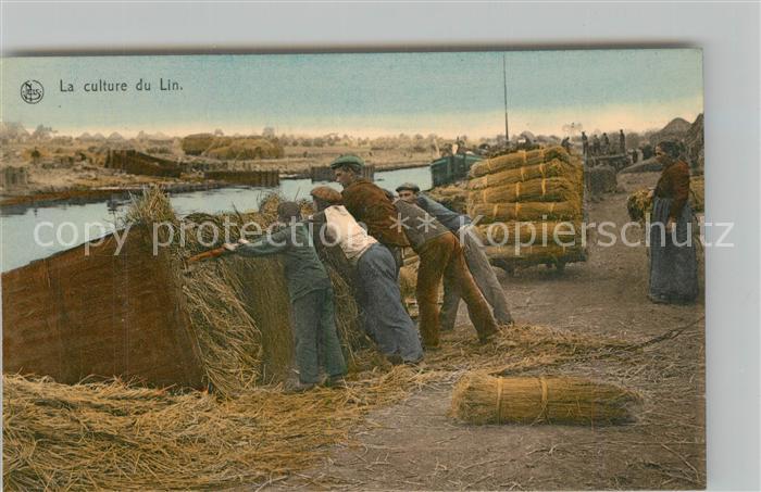 Ernte Landwirtschaft Culture du Lin Ballon charge est pousse