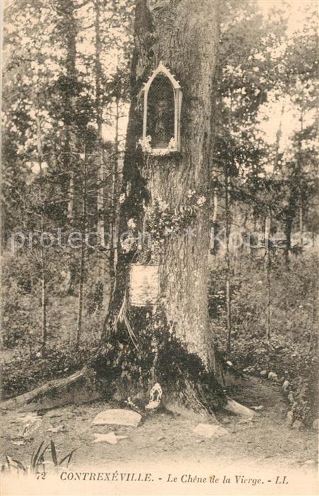 Contrexeville Vosges Le Chêne de la Vierge