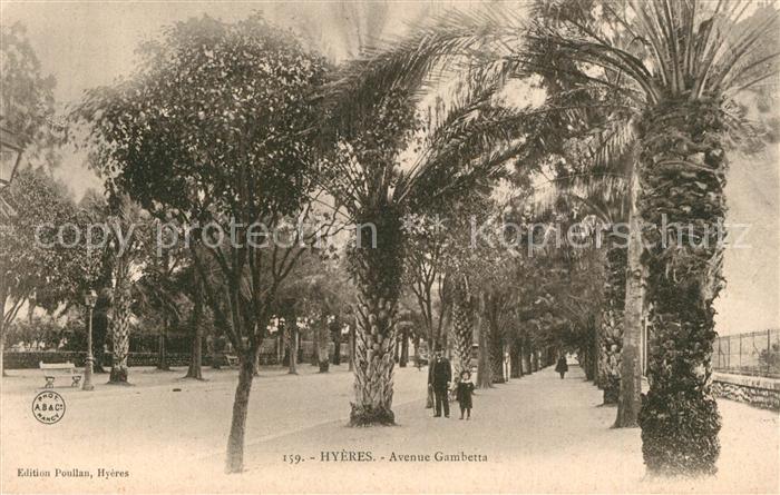 Hyeres les Palmiers Avenue Gambetta des palmiers
