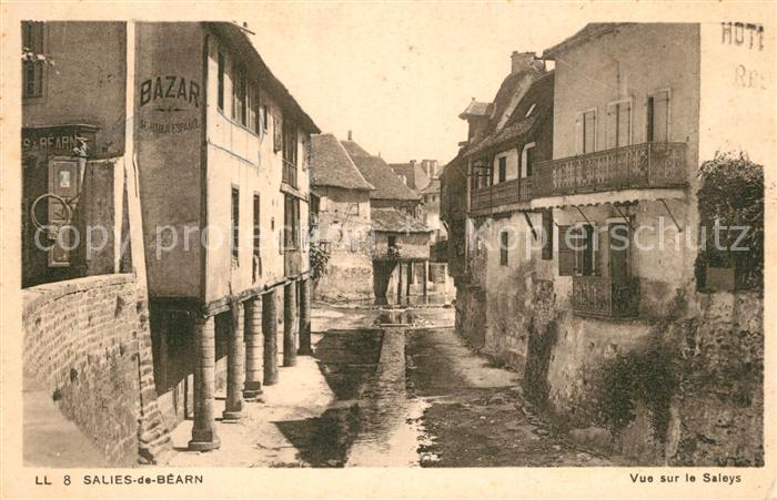 Salies-de-Bearn Vue sur le Saleys