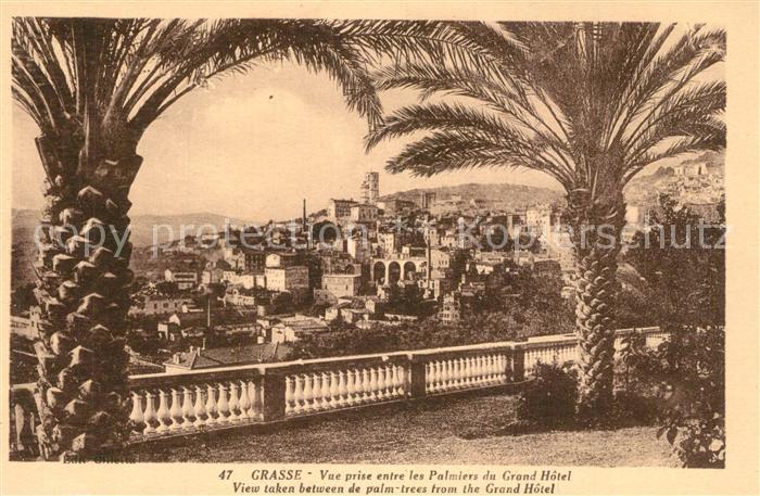 Grasse Alpes Maritimes Vue prise entre les Palmiers du Grand H
