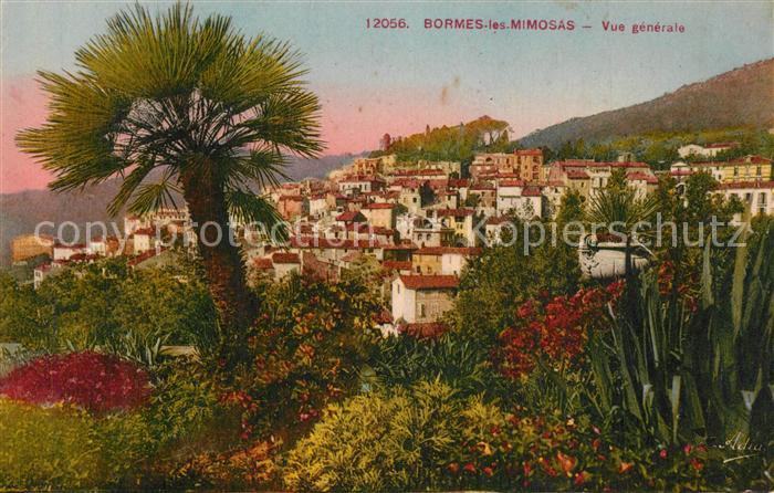Bormes-les-Mimosas Vue Generale