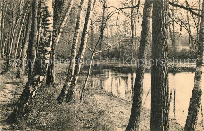 Chaville Etang du Ursine