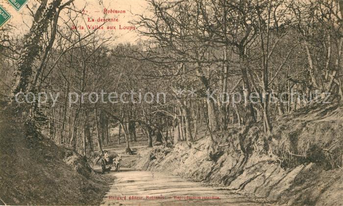 Robinson Plessis Vall?e aux Loups