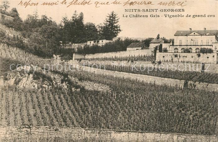 Nuits-Saint-Georges Chateau Gris Vignoble de grand cru
