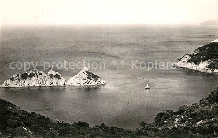 Ile de Port-Cros Fliegeraufnahme Bord de mer