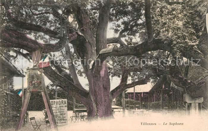Villennes-sur-Seine Le Sophora