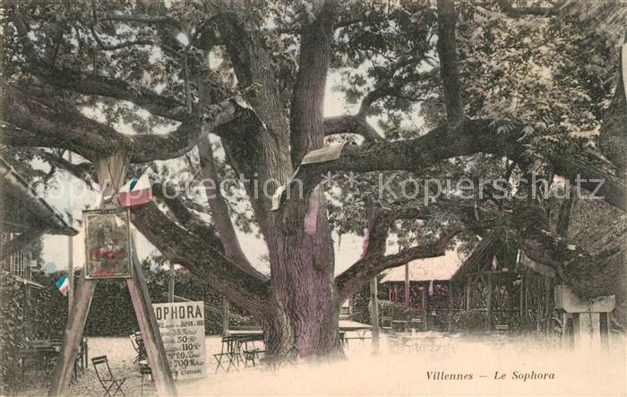 Villennes-sur-Seine Le Sophora