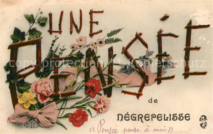 Negrepelisse Une Pensee