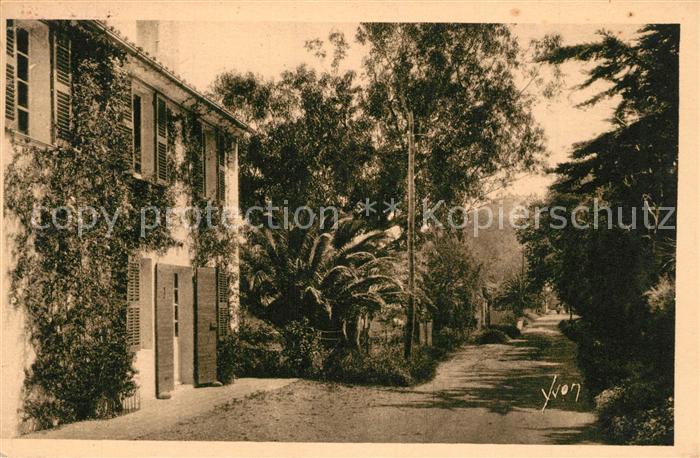 Porquerolles Route conduissant a la Plage d_Argent