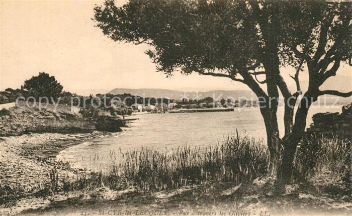 Saint-Cyr-les-Lecques Vue a travers les Oliviers