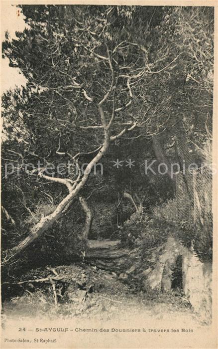 Saint-Aygulf Var Chemin des Douaniers a travers les Bois