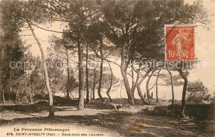 Saint-Aygulf Var Sous bois des Louvens