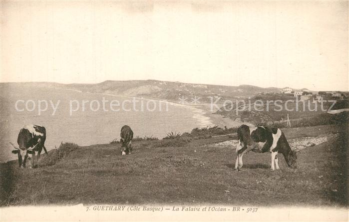 Guethary La Falaise et l'Ocean