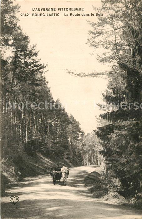Bourg-Lastic La Route dans le Bois