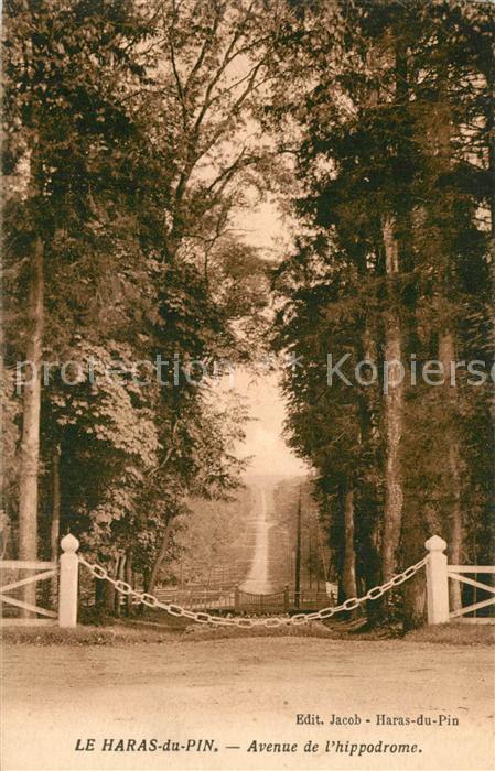 Haras du Pin Avenue de l Hippodrome