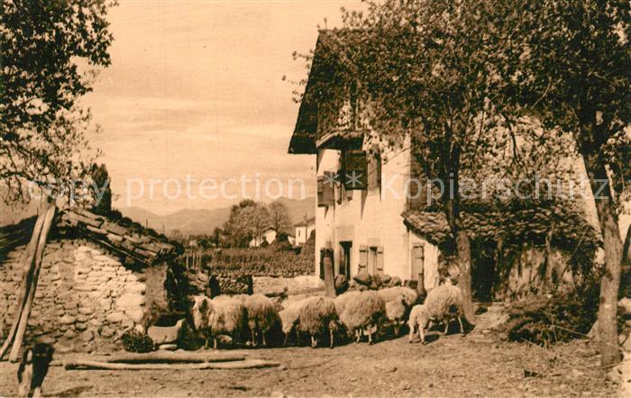 Saint-Jean-Pied-de-Port Ferme Basque