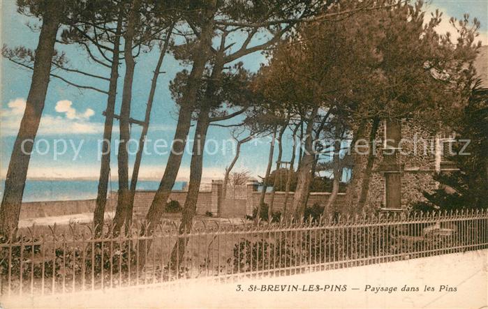 Saint-Brevin-les-Pins Paysage dans les pins