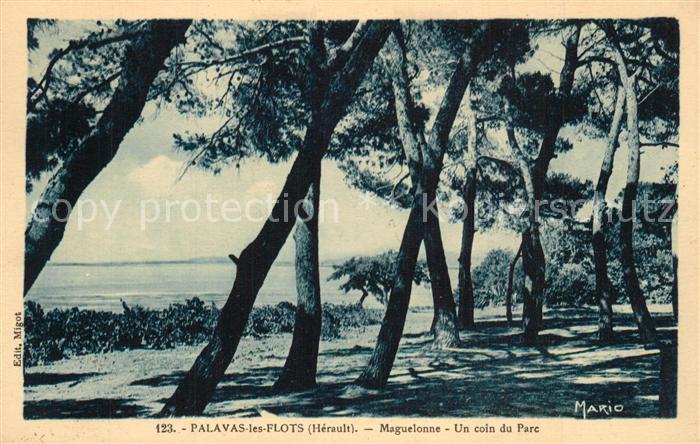 Palavas-les-Flots Herault Maguelonne un coin du parc