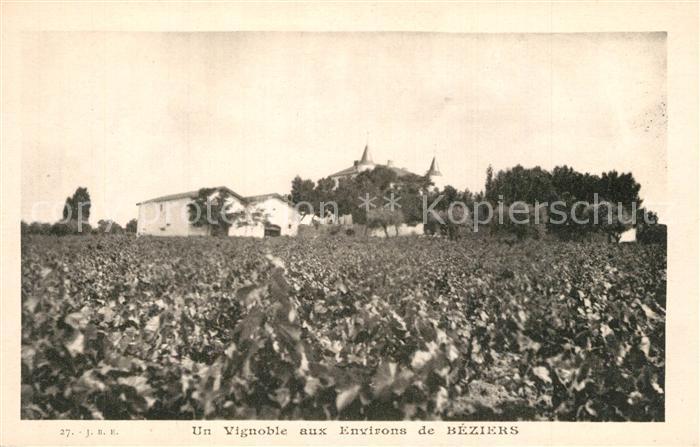 Beziers Un vignoble