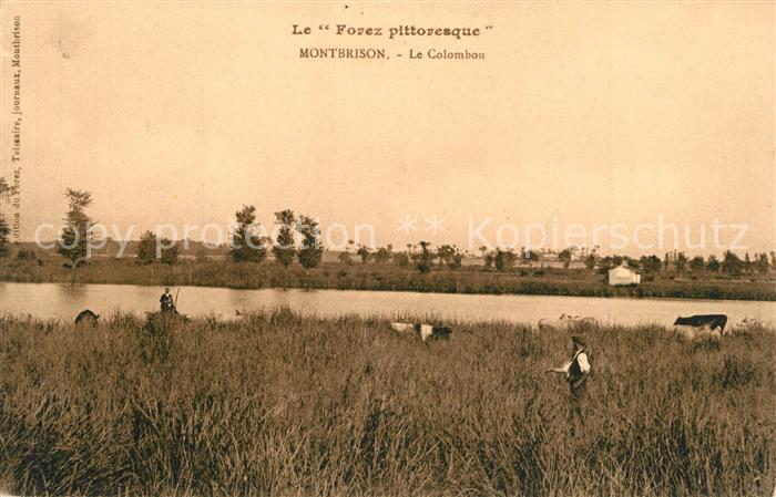 Montbrison Loire Paysage Le Forez pittoresque Le Colombon