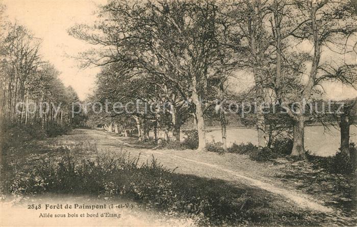 Paimpont Allée sous bois et bord d Etang a la forêt