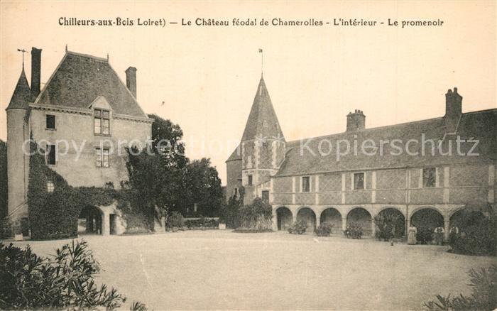 Chilleurs-aux-Bois Chateau féodal de Chamerolles le promenoir