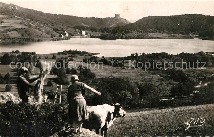 Lac Chambon au temps des Moissons a l Horizon Chateau feodal de Murols