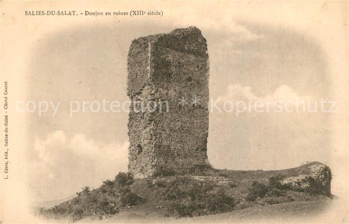Salies-du-Salat Donjon en ruines XIIIe siècle