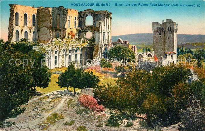 Montmajour Ensemble des Ruines aux Moines