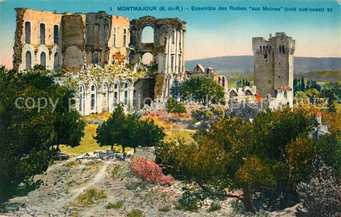 Montmajour Ensemble des Ruines aux Moines