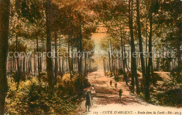 La Grande Cote Route dans la Forêt