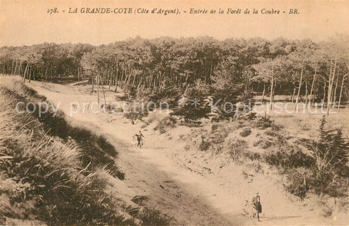 La Grande Cote Entrée de la Forêt de la Coubre