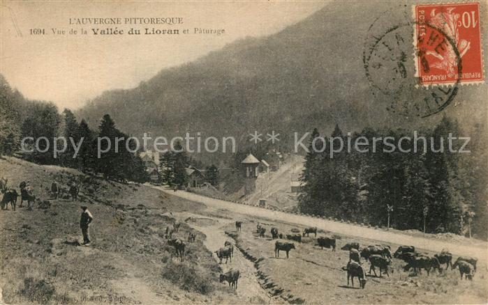 Le Lioran Panorama Vallee du Lioran et pâturage
