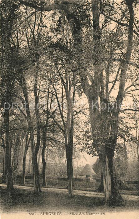 Surgeres Allée des Marronniers