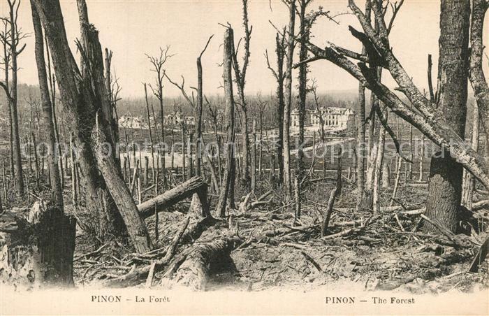 Pinon La Forêt