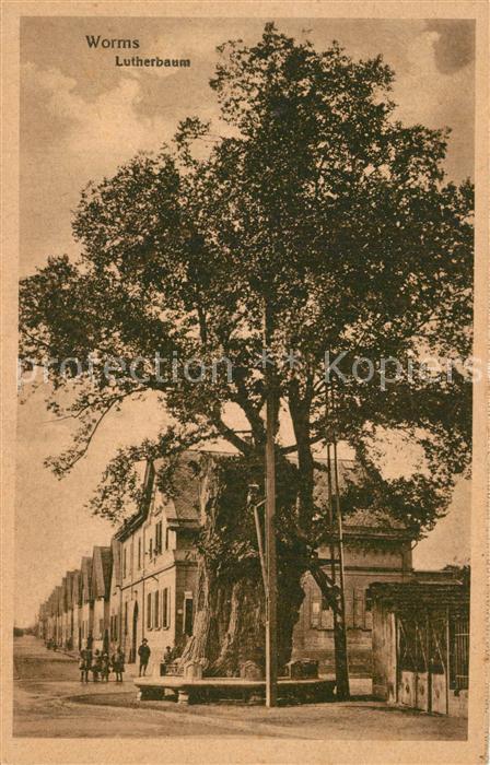 Worms Rhein Lutherbaum