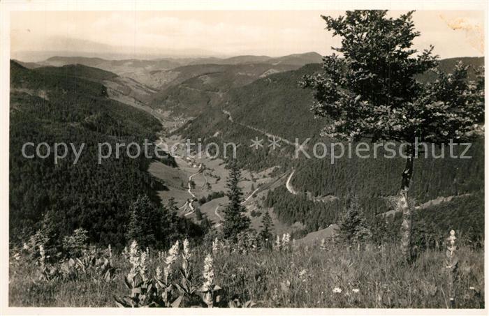 Fahl Feldberg Blick vom Feldberg