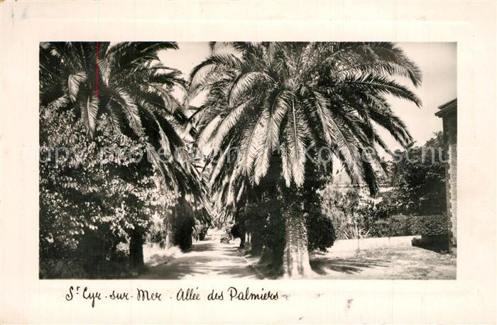 Saint-Cyr-sur-Mer Allee des Palmiers