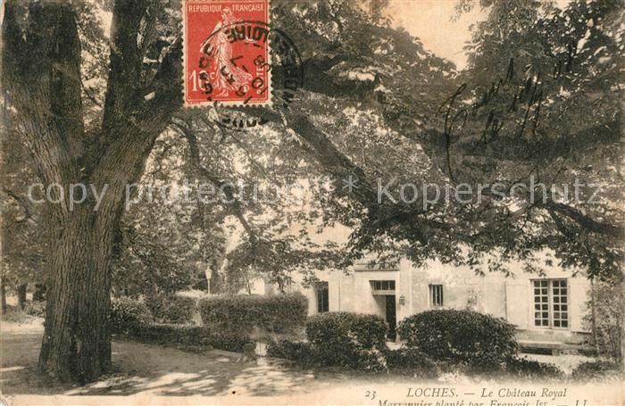 Loches Indre et Loire Chateau Royal