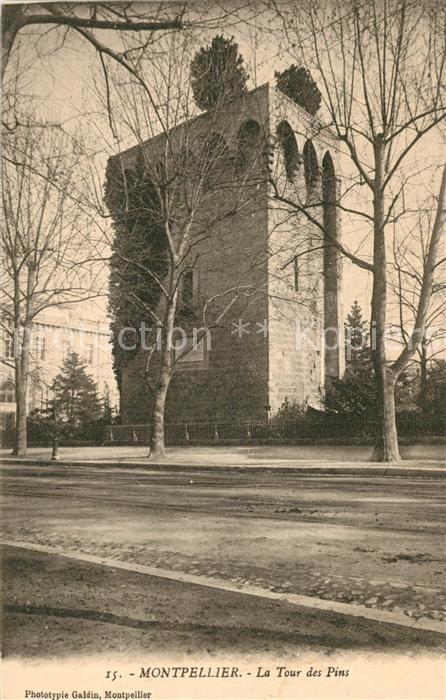 Montpellier Herault Tour des Pins